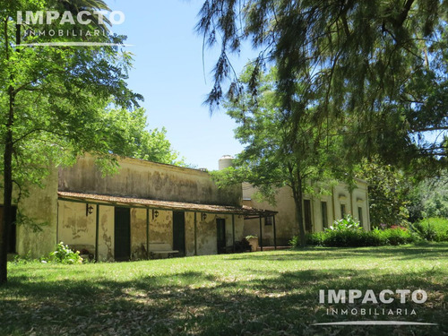En Venta Campo Navarro, Buenos Aires 338 Has
