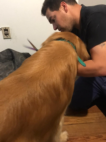 Imagen 3 de 10 de Peluqueria Canina Esquilas