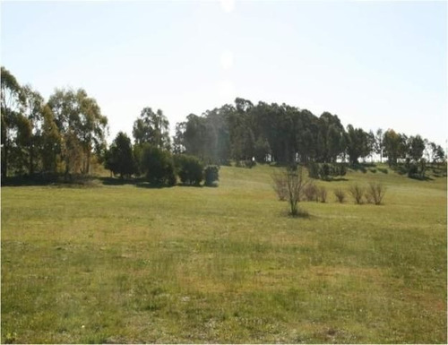 Quinta En Venta En Jose Ignacio