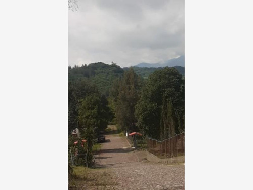 Imagen 1 de 1 de Terreno En Venta El Naranjal A Pie De Carretera