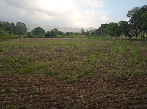 Venta De Finca 21 H:a En Sabaneta , Montalban , Carabobo Liortg 2