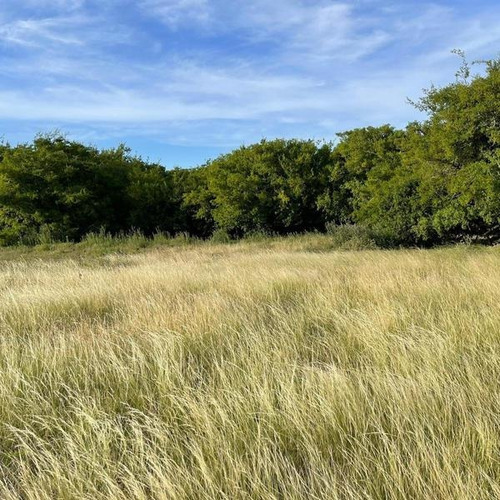 Imagen 6 de 14 de Campo Zona Laguna Los Horcones