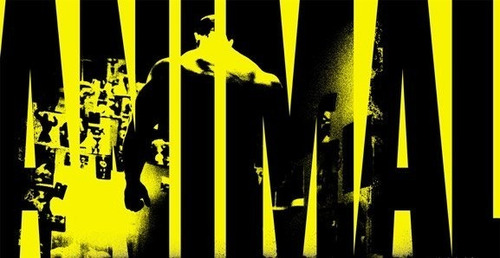Multivitaminico Animal Pak El Mejor Por 20 Años Sabor Naranja