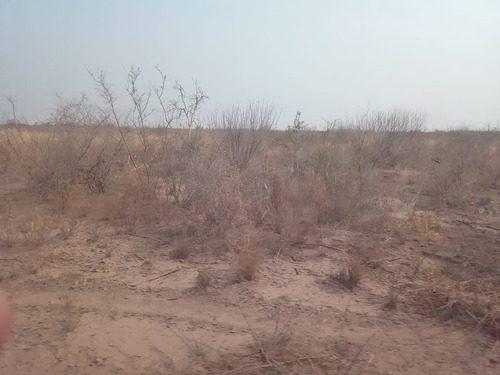 Campo En Quimili - Departamento De Moreno Santiago Del Estero - Argentina