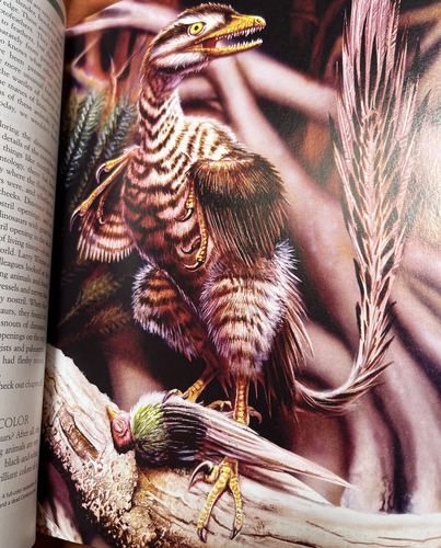 Livro Dinosaurs: The Most Complete, Up-to-date Encyclopedia For Dinosaur Lovers Of All Ages