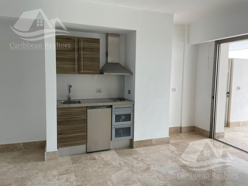 Imagen 7 de 30 de Departamento En Venta En La Amada Cancun