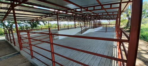 Imagen 3 de 14 de Se Vende Finca 72 Has Orilla De Carretera Manzanita