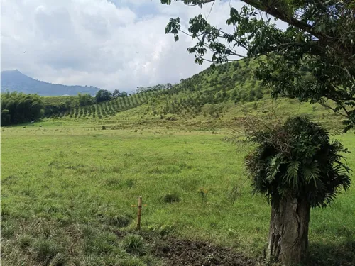 Se Vende Finca Vía Barragan - Rio Verde