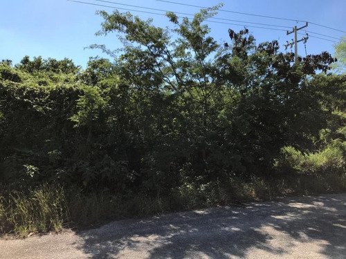 Imagen 2 de 4 de Terreno En Venta Cosgaya