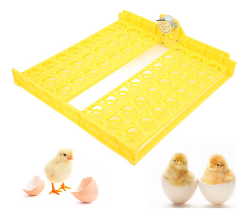Volteador De Huevos Automático Para 48 Huevos Abs, Girador D