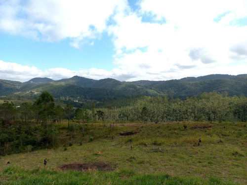 Imagem 5 de 9 de Lotes/ Terrenos