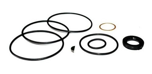Kit Reparación Bomba Hidráulica 1518 Mercedes Original