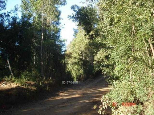 Imagen 1 de 13 de Camino Nonguen S / N , Sector Reserva De Nonguen Concepción