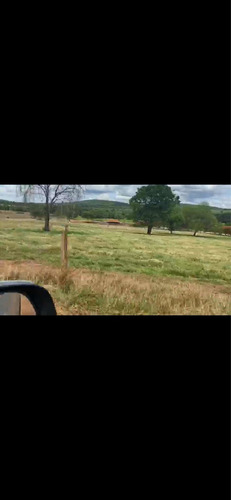 Imagem 6 de 14 de Fazenda Dupla Aptidão Município Brasilândia
