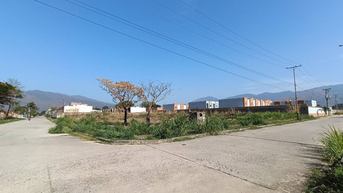 Lucrecia Escorcha En Venta Parcela De Terreno Multifamiliar Manantial Naguanagua Cód 235148