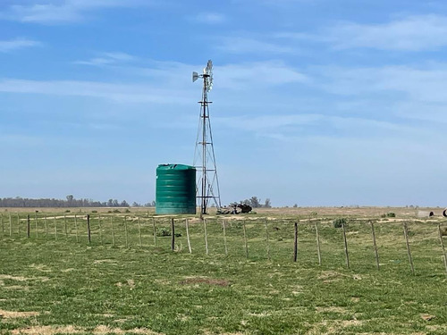 167 Hectareas Agricolas En Lobos