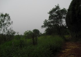 Imagem 8 de 14 de Terreno | 6382 - 6382