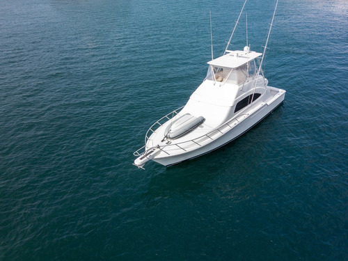 Bertram 51