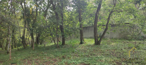 Terreno Enventa En Piedra De Agua En Jilotepec Veracruz