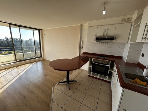 Departamento 2d 2b Est. Y Bod., Lomas San Sebastian