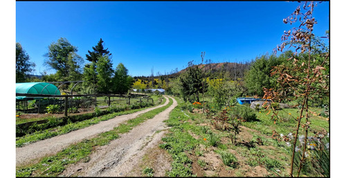 Parcela Con 2 Casas Y 8000m2 De Terreno (126968)