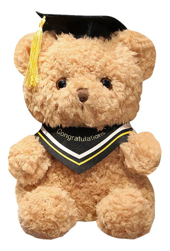 Doctor Teddy Bear Graduación Memorial Regalo Peluche