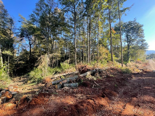 Parcela En Venta En Los Lagos