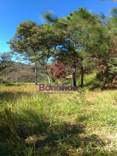 Imagem 23 de 30 de Chácara, Mato Dentro, Franco Da Rocha - Ch07885 - 70305451