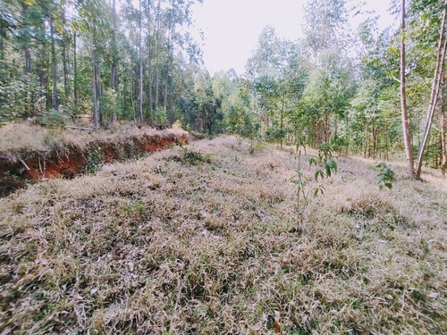 Imagem 18 de 19 de Terreno Escriturado À Venda Em Piracaia/sp - 1000 - 34968879