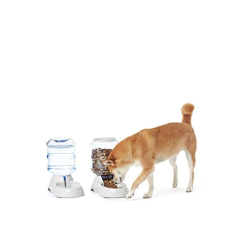 Brand: Basics  Gravity Pet Food Feeder And Water Dispensers