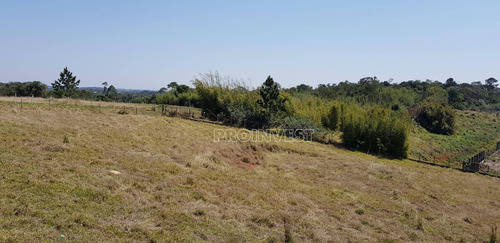 Imagem 11 de 15 de Terreno À Venda, 20000 M² Por R$ 1.600.000,00 - Água Espraiada (caucaia Do Alto) - Cotia/sp - Te9001