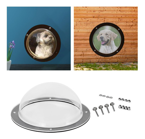 Perro Valla Ventana Domo Insertar Claro Gato Mascota Patio
