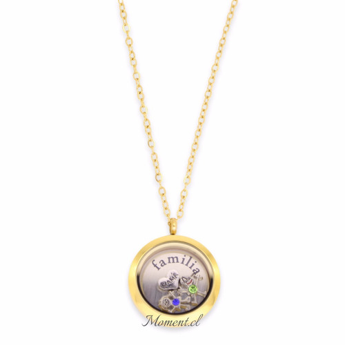 Joyas Personalizadas - Medallón Plateado_familia