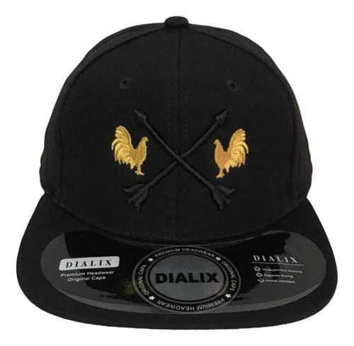 Gorra Plana Mayoreo 10 Piezas Bordada Premium Kit 