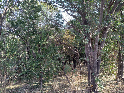  Terrenos En Venta En Mendiolaza Las Palomas 