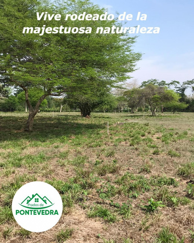 Imagen 14 de 14 de Lotes Campestre En Prado De Pontevedra Etapa 2 Turbaco Bolivar