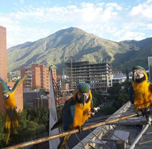 Imagen 3 de 14 de Apartamento En Excelente Ubicacion Romulo Gallegos
