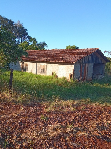 Imagem 1 de 13 de Chácara Matelândia