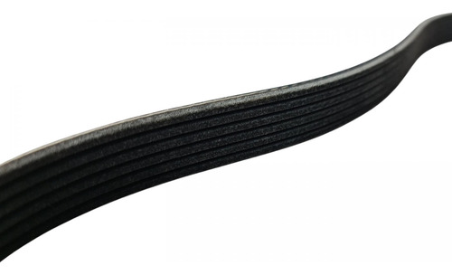 Banda Alternador Versa 2024 Original Nissan