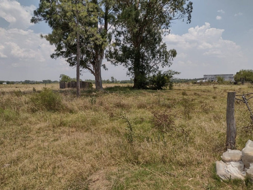 Imagen 17 de 20 de Venta De Chacra En Canelones Apta Banco