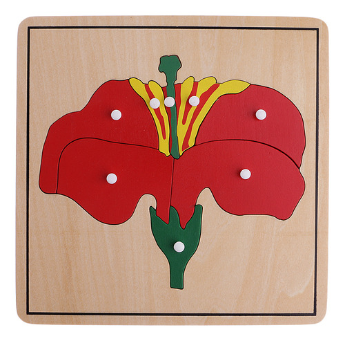 Montessori Botany Material-3 Rompecabezas De Formas De