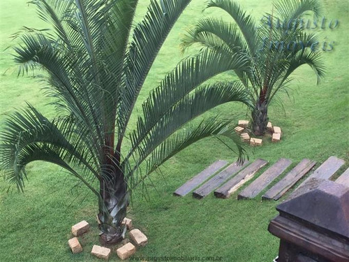 Chácaras Em Condomínio À Venda Em Atibaia/sp - Compre O Seu Chácaras Em Condomínio Aqui! - 1334810