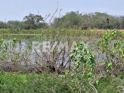 Rancho en venta