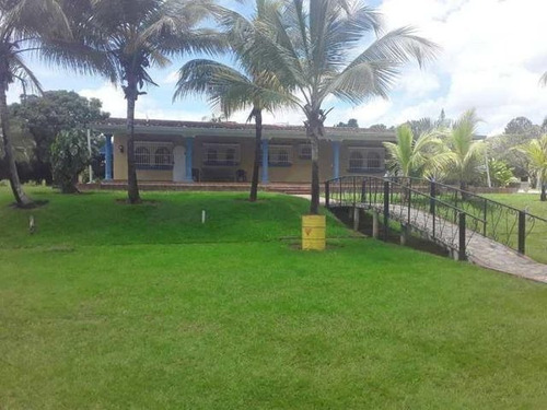 Imagen 13 de 18 de Finca En Venta Sabana De Medio Barrera Carabobo G
