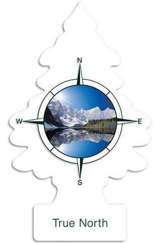 Imagem 1 de 1 de Aromatizante Little Trees True North