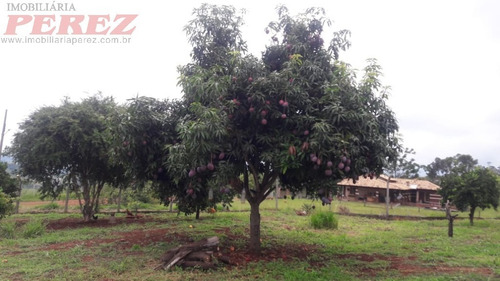 Chácaras_sítios_fazendas Para Venda - 13650.7749