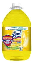 Comprar Lysol Citrus Desinfectante Multiusos 5l