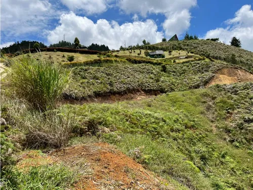 Rhbr-14483 (lote) (guarne)