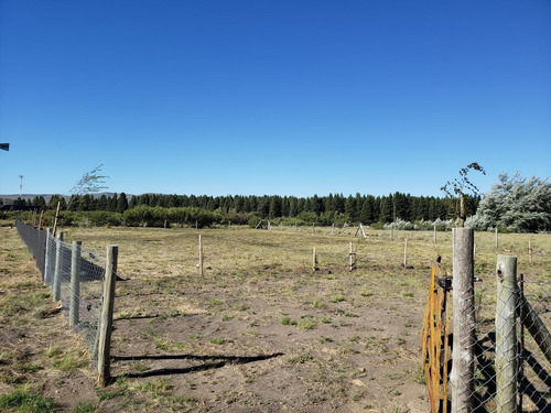 Imagen 4 de 17 de Terreno Las Marías Del Valle - San Martin De Los Andes