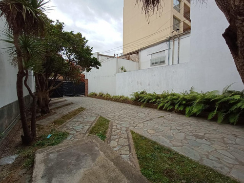 Imagen 4 de 30 de Local En Venta En La Plata Calle 8 E/ 61 Y 62 - Dacal Bienes Raíces